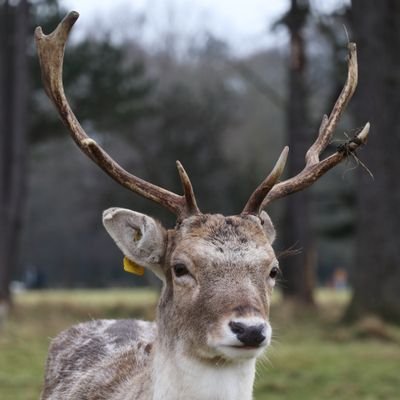 Profile Picture of Daniel Pyke (@PrismDublin) on Twitter