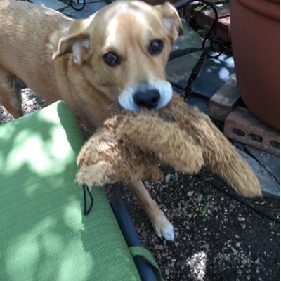 Profile Picture of Sally Doyle (@doyles7214) on Twitter