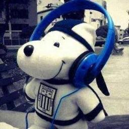 Profile Picture of Bleick Mara Mayta (@kevin12022) on Twitter
