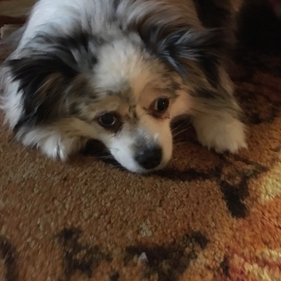 Profile Picture of Marcy Scattergood (@mscatt1974) on Poshmark