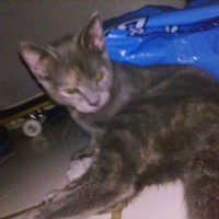 Profile Picture of Isaac Santana (@isaac-santana-7) on Quora