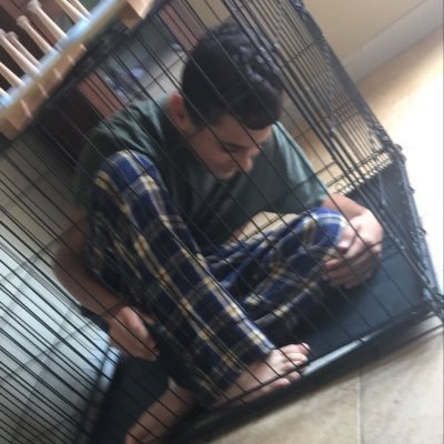 Profile Picture of Nicholas Iacono (@NicholasIacono3) on Twitter