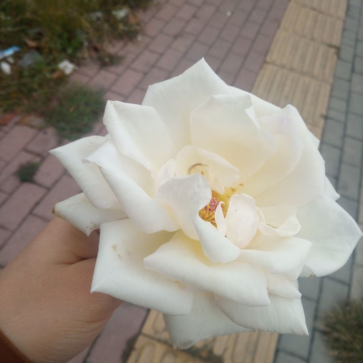 Profile Picture of Clifton Mccloskey (@cliftonmccloskey637) on Tiktok