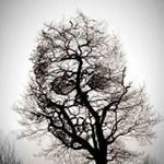 Profile Picture of William Eslick (@eslickwilliam) on Instagram