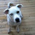 Profile Picture of Jenna Behrens (@jennabehrens) on Pinterest