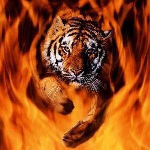 Charlie Obryant - Myspace Profile Picture of Charlie Obryant (@charlie.obryant) on Myspace