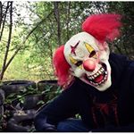 Profile Picture of Peter (@peterplunkett1878) on Instagram