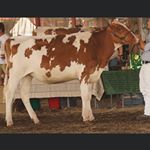 Profile Picture of Alexander Burleigh (@alex_j_burleigh) on Instagram