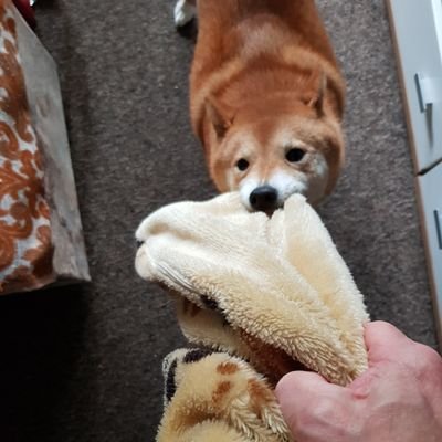 Profile Picture of Peter Paul Mina (@PeterPaulMina1) on Twitter