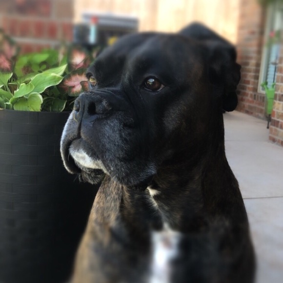 Profile Picture of Haley Mccown (@haleymccown) on Poshmark