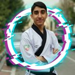 Profile Picture of Younes Hamidi (@younes_tkd_2002) on Instagram