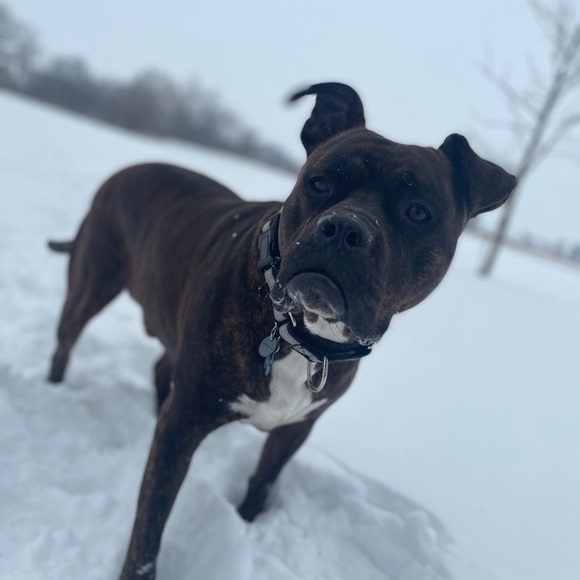 Profile Picture of Garrett Vance (@garrett_vance) on Poshmark