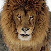 Profile Picture of Daniel Eppler (@eemotive) on Pinterest