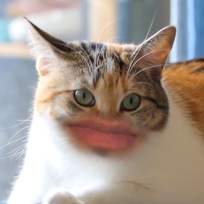 Profile Picture of Christian Totaro (@ChrisTotaro) on Twitter