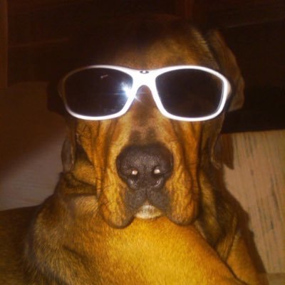 Profile Picture of Tyler Irving (@TYLERNairBare) on Twitter