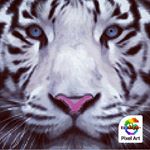 Profile Picture of Nathan Pepper (@nathan_peppmaster) on Instagram