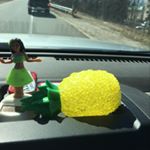 Profile Picture of BandJ2020🍍 (@brad_and_jess022920) on Instagram