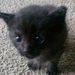 Profile Picture of Andrew Bronkema (@abronk1234) on Pinterest