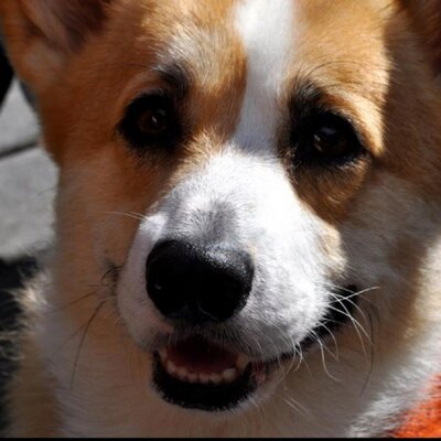 Profile Picture of Monty Mclean (@Monty_Mclean) on Twitter