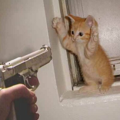 Profile Picture of Cameron Mccabe (@camman111) on Twitter