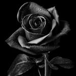 Profile Picture of Jonathan Lopez Zamora (@johnyrock82frases) on Instagram