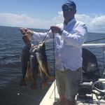 Profile Picture of Mark Leeper (@markleeper65) on Instagram