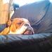 Profile Picture of David Barwick (@david.barwick.1272) on Facebook