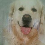 Profile Picture of Janet Hjelm-eriksson (@janet.hjelmeriksson) on Instagram