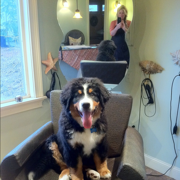 Profile Picture of Cheryl Bammann (@cbgears) on Poshmark