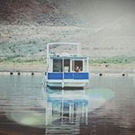 Profile Picture of Bob Gardner (@coralhoarder) on Instagram