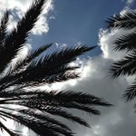 Profile Picture of Annette Pearson (@ryothravenkool) on Instagram