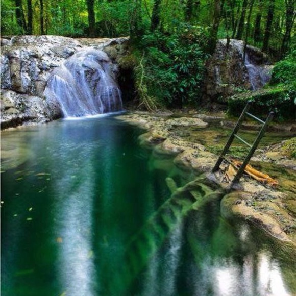 Profile Picture of Brian Fitch (@bfitc3) on Poshmark