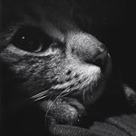 Profile Picture of Dave Dennis (@davedennis90) on Instagram