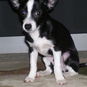 Profile Picture of Daniel Selden (@italianlover23) on Myspace