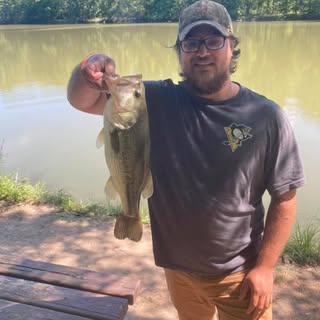 Profile Picture of Daryl Hill (@dinger_daryl) on Instagram