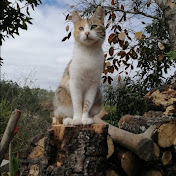 Profile Picture of Genesis Perez (@genesisperez9463) on Youtube