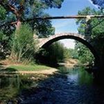 Profile Picture of sean oeri (@platanoserdfg) on Instagram