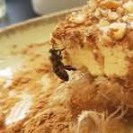 Profile Picture of Clement Rinaldi (@clement.rin.3) on Facebook