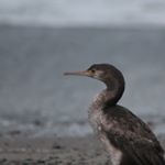 Profile Picture of Aimee Reese (@aimee_photos_2.0) on Instagram