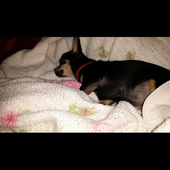 Profile Picture of Arlene Vanduyne (@arlene321) on Poshmark