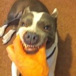 Jimmy Riggs - Instagram Profile Picture of Jimmy Riggs (@jriggsy) on Instagram