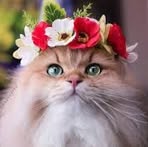 Profile Picture of Roberta Herron (@Roberta-Herron) on Facebook