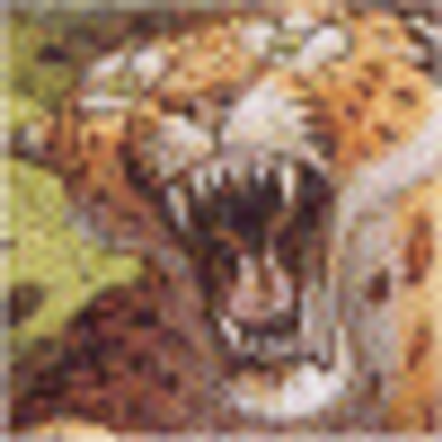 Profile Picture of Dustin Pope (@i5gdestroy) on Twitter