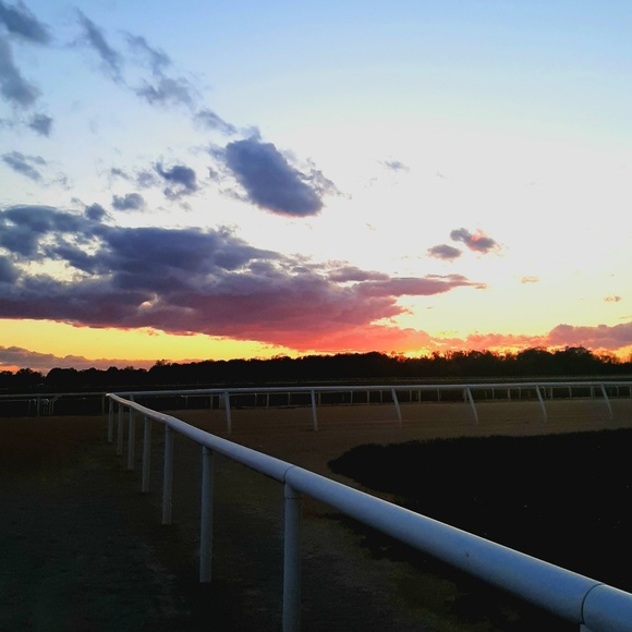 Profile Picture of Susan Gardler (@suzieq123778) on Poshmark