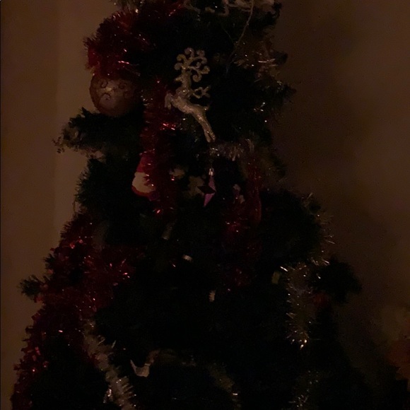 Profile Picture of Francyn Bell (@cerise293) on Poshmark