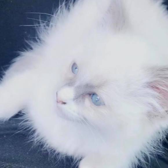 Profile Picture of Erin Cichanski (@erincichanski) on Poshmark