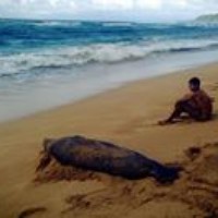 Profile Picture of Alberto Gonzalez Martinez (@alberto-gonzalez-martinez) on Quora