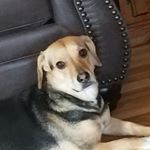 AndrewTheCunt - Instagram Profile Picture of AndrewTheCunt (@andrew.armour) on Instagram