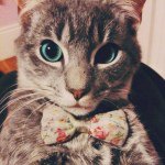 Profile Picture of Elayne Randall (@elaynerandall25) on Instagram