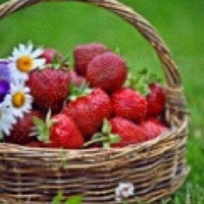 Profile Picture of Mohammed-ALeid (@3785minecraft) on Twitter